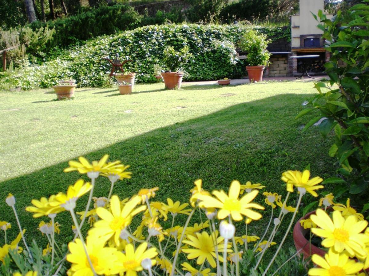 Agriturismo Santa Barbara Country House San Miniato Exterior foto